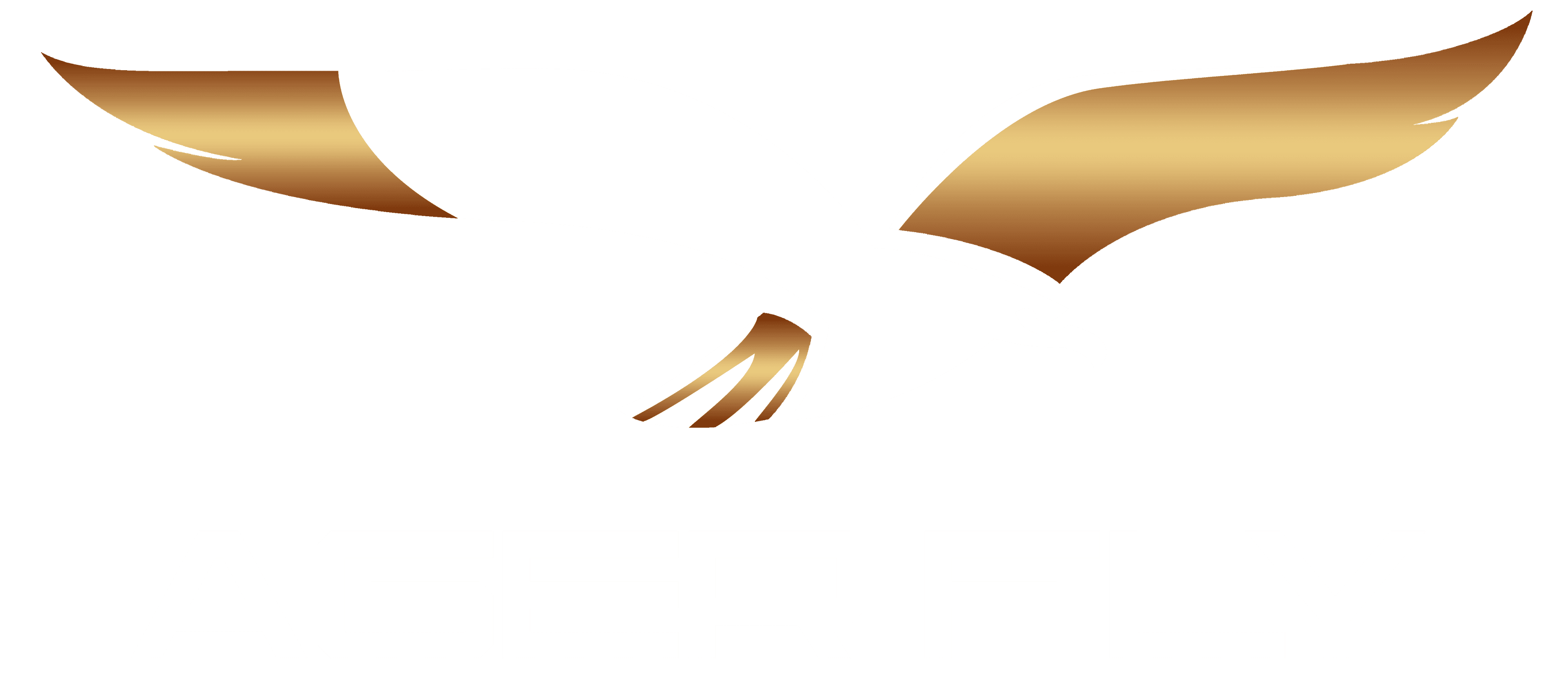 Logo AgerFly